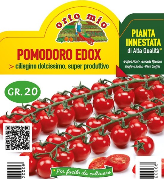 Tomaten veredelt Cocktailtomate, Sorte Edox (F1), 10/20 cm PP-Nr.: IT-08-1868