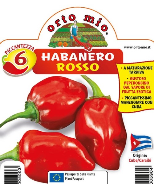 Chilli , 14/30 cm rote Habanero, sehr scharf, (350.000 Scoville) PP-Nr.: IT-08-1868