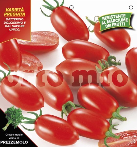 Tomaten Mini-Datteltomate, Sorte Trilly (F1), 10/20 cm PP-Nr.: IT-08-1868