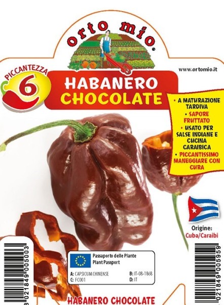 Chilli chocolate Habanero, scharf, 10/20 cm PP-Nr.: IT-08-1868