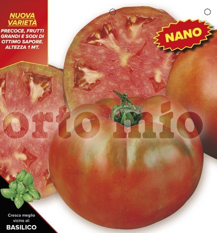 Tomaten Cocktailtomate, Sorte Bellarosa (F1), 10/20 cm 1 m hoch; resistent gegen TSWV-Virus PP-Nr