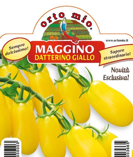 Tomaten, 10/20 cm Datteltomate, gelb, Sorte Maggino (F1) PP-Nr.: IT-08-1868