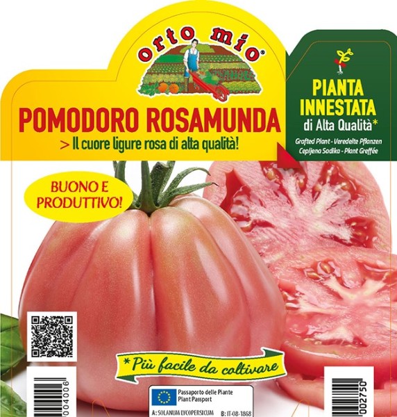 Tomaten veredelt, 14/30 cm ligurische Herztomate, rosa, Sorte Rosamunda (F1) PP-Nr.: IT-08-1868