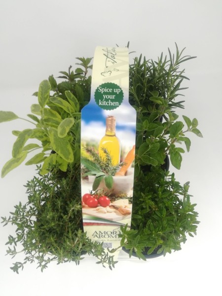 "Aromi e Amore", Busch 10/15 cm Mediterraneo 6er Pack Gewürze PP-Nr.: IT-07-0526