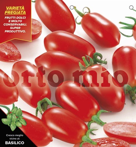 Tomaten Datteltomate, rot, Sorte Lobello (F1), 10/20 cm PP-Nr.: IT-08-1868