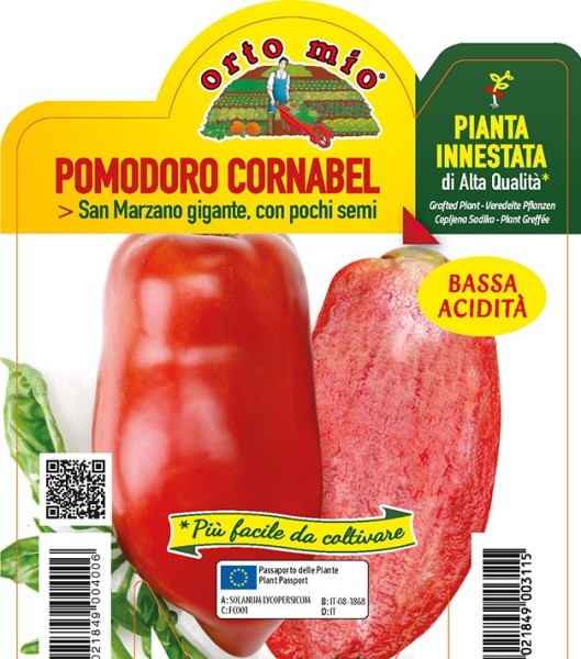 Tomaten veredelt Riesen-San Marzano, 14/30 cm Sorte Cornabel (F1) PP-Nr.: IT-08-1868