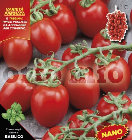 Tomaten Snacktomate "Königin", Sorte OR Pizzutello, 6er Tasse/ cm (Dürre resistent) PP-Nr.: IT-08