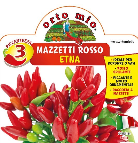 Chilli, 10/20 cm rot, scharf, gebündelt, Sorte Etna PP-Nr.: IT-08-1868