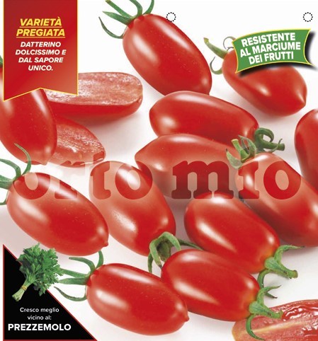 Tomaten, 6er Tasse cm Datteltomate, spitz, Sorte Trilly (F1) PP-Nr.: IT-08-1868