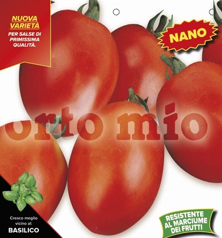 Tomaten ovale "Big Rio", (F1) (resistent gegen apikale Fäule und TSWV-Virus), 6er Tasse PP-Nr.: IT