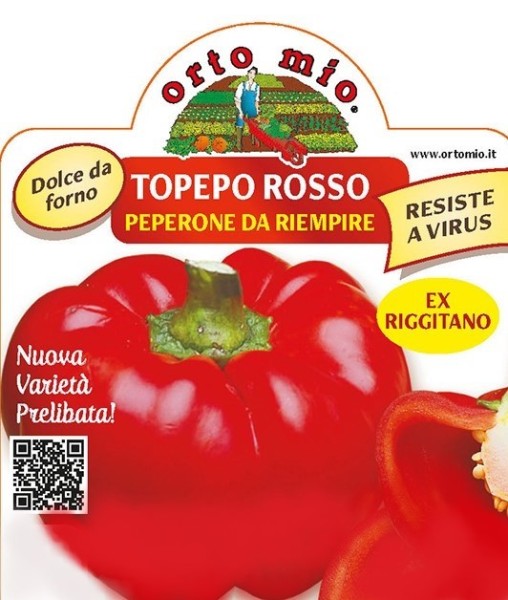 Paprika, 10/20 cm Tomatenpaprika rot (zum Füllen), Sorte Twister (F1); resistent gegen TSWV-Virus