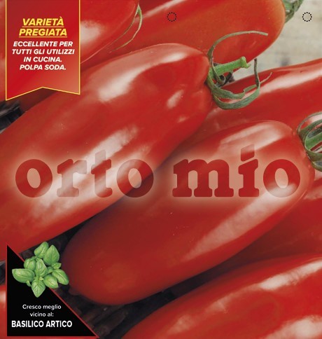 Tomaten, 6er Tasse cm San Marzano, Sorte Oskar (F1) PP-Nr.: IT-08-1868