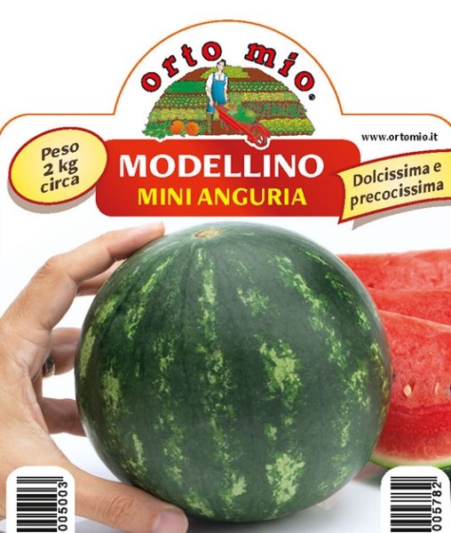 Wassermelone, 10/20 cm Mini-Wassermelone, Sorte Modellino (F1) PP-Nr.: IT-08-1868
